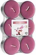Kup Zestaw podgrzewaczy zapachowych SPA Garden - Bispol Spa Garden Maxi Scented Candles