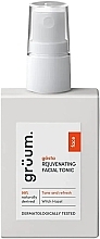 Odmładzający tonik do twarzy - Gruum Gosta Rejuvenating Facial Tonic — Zdjęcie N1