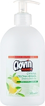 Kup Mydło w płynie z cytryną i zieloną herbatą - Clovin Clovin Handy Lemon & Green Tea Antibacterial Liquid Soap