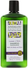 Kup Szampon do włosów Lawenda i biotyna - Andalou Naturals Lavender & Biotin Full Volume Shampoo