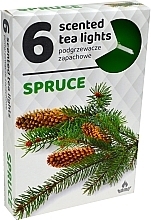 Podgrzewacze zapachowe tealight Świerk, 6 szt. - Admit Scented Tea Light Spruce — Zdjęcie N1