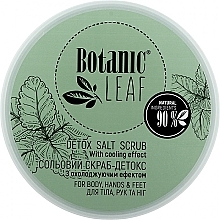 Detoksykujący peeling solny do ciała, dłoni i stóp - Botanic Leaf Detox Salt Scrub — Zdjęcie N1