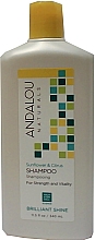 Kup Szampon do włosów Słonecznik i cytrusy - Andalou Naturals Sunflower & Citrus Brilliant Shine Shampoo