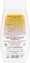 Szampon i odżywka 2 w 1 do włosów Miód i koenzym Q10 - Bione Cosmetics Honey + Q10 2in1 Shampoo And Conditioner — Zdjęcie N2