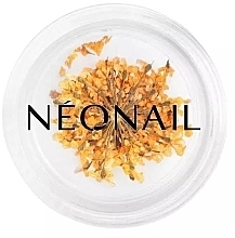 Kup Suszone kwiaty do zdobienia paznokci - NeoNail Professional