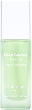Łagodzące serum do skóry wrażliwej i tłustej - Muldream Deep Calming Serum Aloe & Spirulina — Zdjęcie N1