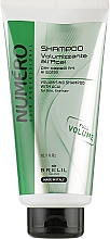 Kup Szampon zwiększający objętość włosów z ekstraktem z jagód acai - Brelil Numero Volumising Shampoo