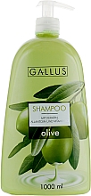 Kup Szampon z ekstraktem z oliwek - Gallus Olive Shampoo