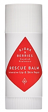 Kup Rewitalizujący balsam do ust i skóry - Bjork & Berries Rescue Balm