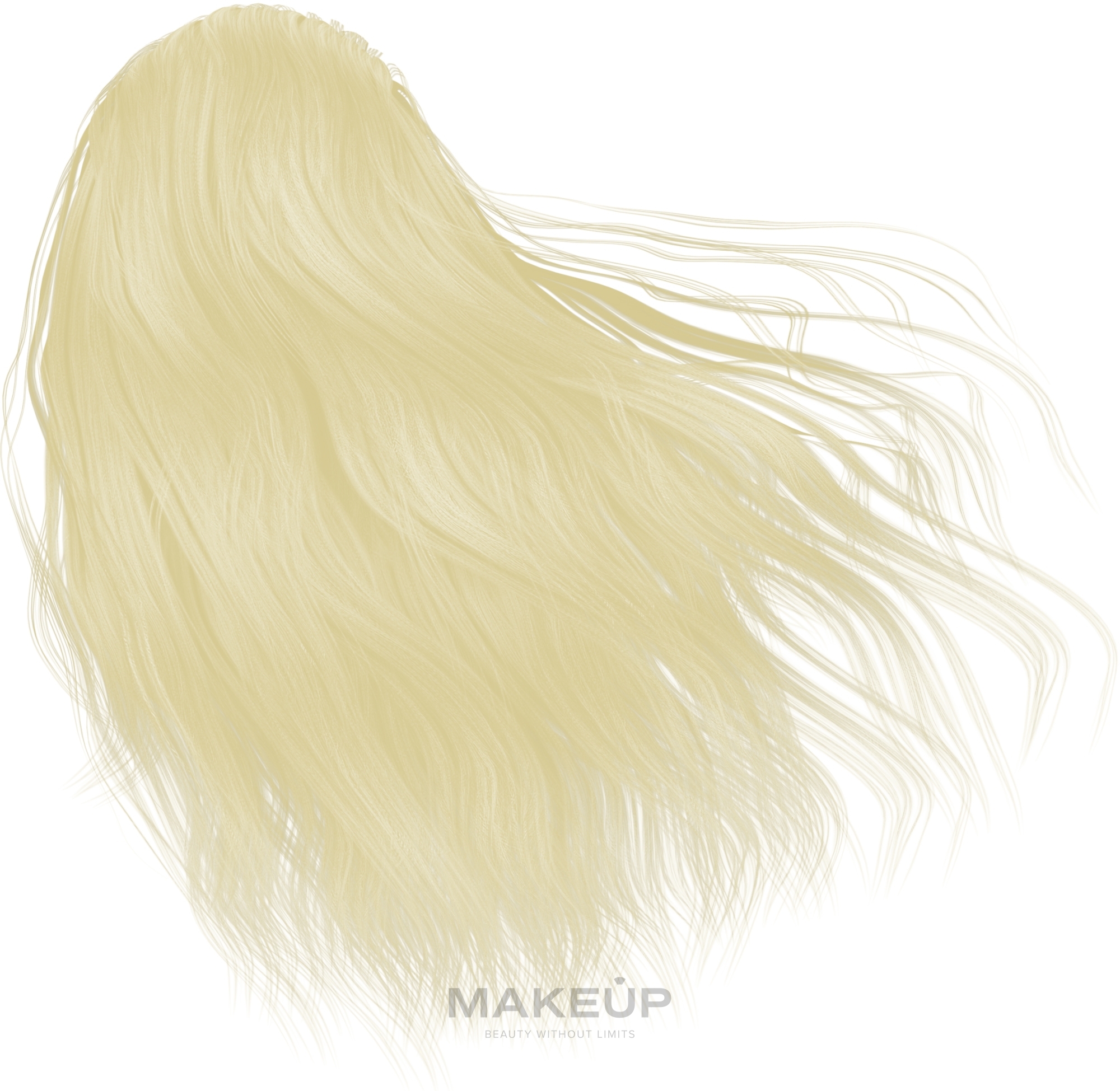 PRZECENA! Farba do włosów z olejem arganowym - Delia Cameleo * — Zdjęcie 9.0 - Naturalny Blond