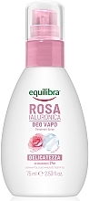 Kup Dezodorant w sprayu Róża, z kwasem hialuronowym - Equilibra Rosa Deodorant Spray