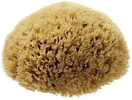 Naturalna gąbka morska Honeycomb Sea Sponge, 6,35 cm - Hydrea London — Zdjęcie N1