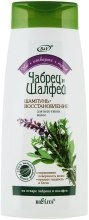 Kup Szampon regenerujący Tymianek i szałwia - Bielita Hair Care Recovery Thyme And Sage Shampoo