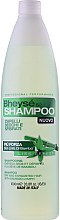 Kup Szampon do włosów suchych i zniszczonych z ekstraktem z bambusa - Renée Blanche Bheysé Shampoo Dry And Exhausted Hair