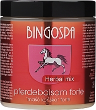 Kup Maść końska z ziołami alpejskimi - BingoSpa Herbal Mix
