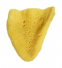 Kup Gąbka kąpielowa Elephant Ear, 14 cm - Hydrea London The Natural Sea Sponge Large