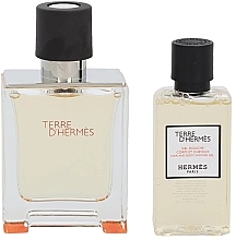 Hermes Terre d'Hermes - Zestaw (edt 50 ml + sh/gel 40 ml) — Zdjęcie N3