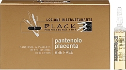 Balsam do odbudowy włosów z pantenolem i łożyskiem - Black Professional Line Panthenol & Placenta Restructuring Hair Lotion — Zdjęcie N1