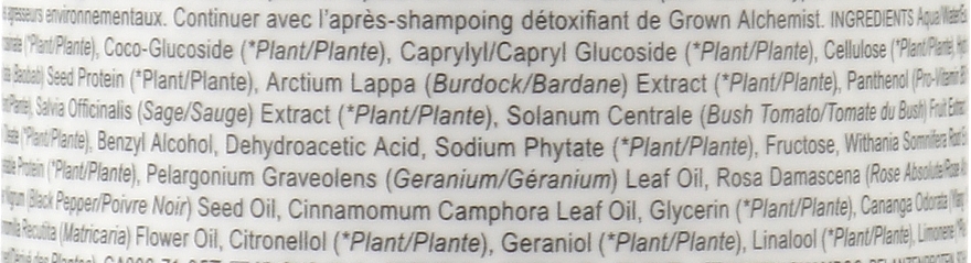 Detoksujący szampon do włosów - Grown Alchemist Detox Shampoo Hydrolyzed Silk Protein & Black Pepper & Sage — Zdjęcie N2