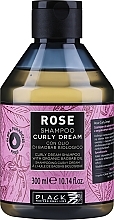 Kup Szampon do włosów kręconych - Black Professional Line Rose Shampoo Curly Dream 