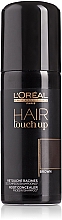 Spray maskujący odrosty - L'Oreal Professionnel Hair Touch Up — Zdjęcie N1
