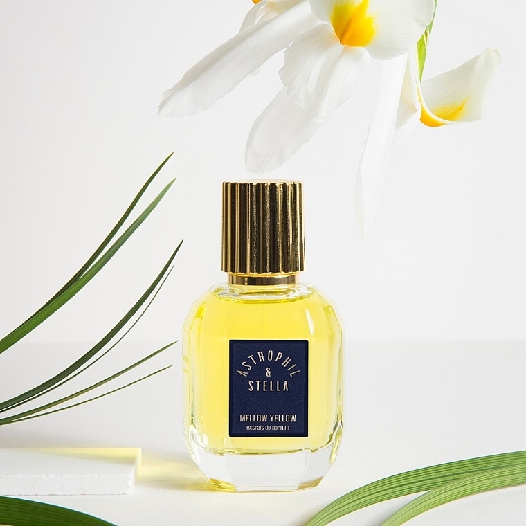 Astrophil & Stella Mellow Yellow - Perfumy — Zdjęcie N4