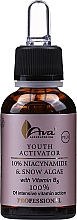 Kup Aktywator młodości Niacynamid i śnieżna alga - Ava Laboratorium Youth Activator Niacinamide & Snow Algae With Vitamin B5 