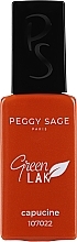 Kup Ekologiczny lakier żelowy do paznokci - Peggy Sage Green LAK