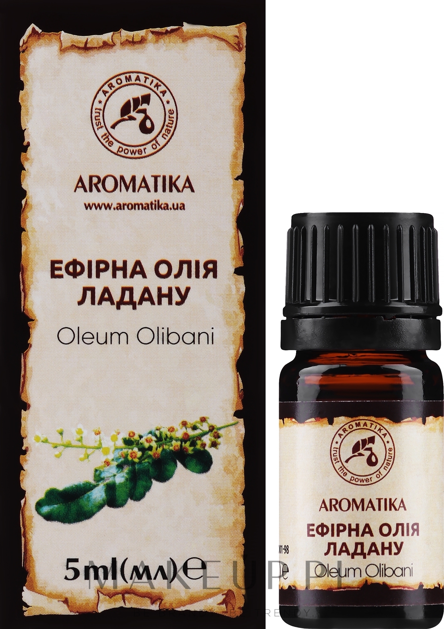 100% naturalny olejek eteryczny Kadzidło - Aromatika — Zdjęcie 5 ml