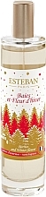 Kup Esteban Berries And Winter Flower - Perfumowany spray do domu