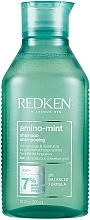 Odświeżający szampon do przetłuszczającej się skóry głowy - Redken Amino Mint Shampoo — Zdjęcie N1