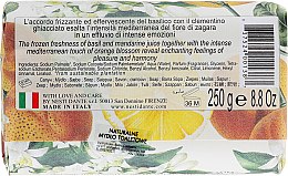 Mydło kosmetyczne Kwiat pomarańczy, zmrożona mandarynka i bazylia - Nesti Dante Dolce Vivere Soap — Zdjęcie N2