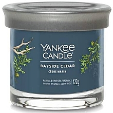 Świeca zapachowa w szkle Bayside Cedar - Yankee Candle Singnature  — Zdjęcie N1