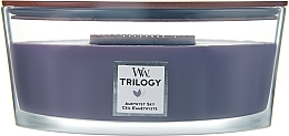 Kup Świeca zapachowa - Woodwick Trilogy Ellipse Candle Amethyst Sky