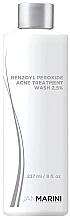 Kup Żel oczyszczający z nadtlenkiem benzoilu 2,5% - Jan Marini Benzoyl Peroxide Acne Treatment Wash 2.5% 