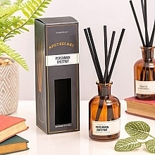 Dyfuzor zapachowy - Paddywax Apothecary Glass Reed Diffuser Persimmon & Chestnut — Zdjęcie N1