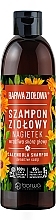 Szampon ziołowy do wrażliwej skóry głowy Nagietek - Barwa Ziołowa — Zdjęcie N1