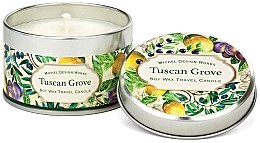 Kup Świeca zapachowa - Michel Design Works Travel Candle Tin Tuscan Grove