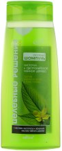 Kup Specjalny szampon do włosów przetłuszczających się Glistnik i australijskie drzewo herbaciane - Bielita Celandine And Australian Tea Tree Hair Shampoo