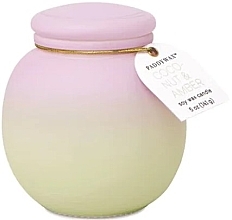 Kup Świeca zapachowa Kokos i bursztyn - Paddywax Orb Ombre Glass Candle Purple & Green Coconut & Amber