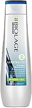 Kup Profesjonalny szampon odbudowujący włosy silnie uwrażliwione - Biolage Keratindose Pro-Keratin+Silk