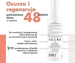 Regenerujący spray do twarzy i ciała - Avene Cicalfate+ Spray — Zdjęcie N3