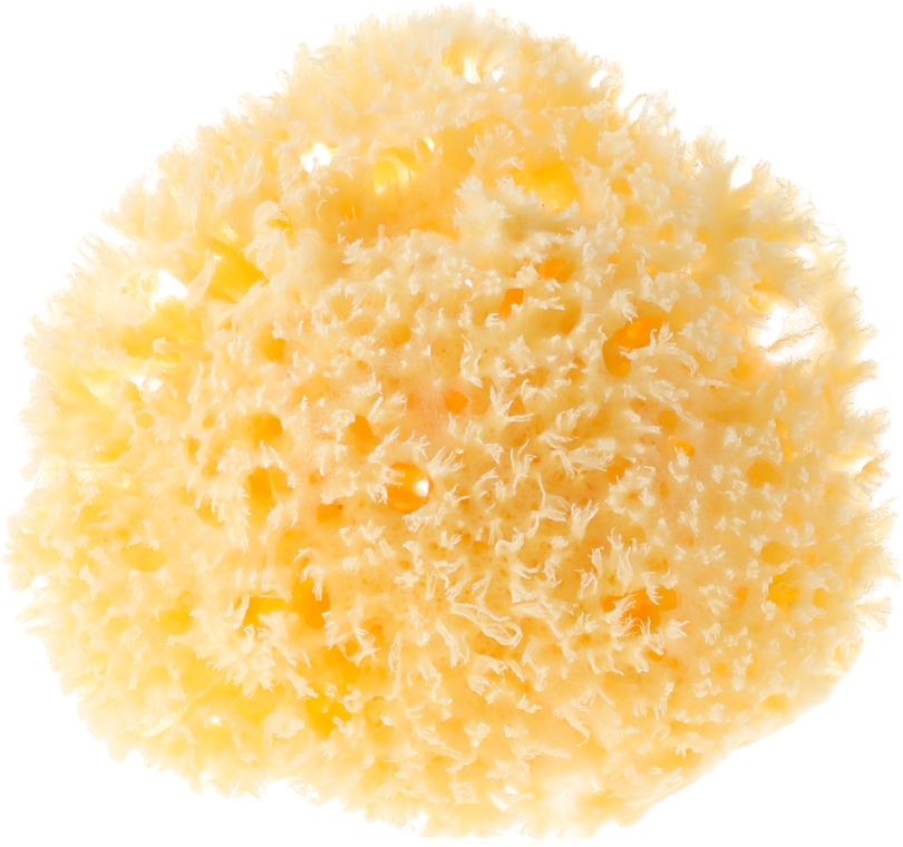 Naturalna morska gąbka, 9-10 cm - Najel Natural Sponge — Zdjęcie N1