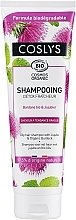 Szampon do włosów przetłuszczających się z organiczną miętą pieprzową - Coslys Shampoo With Organic Peppermint — Zdjęcie N1