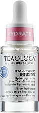 Nawilżające serum do twarzy z molekularnym kwasem hialuronowym - Teaology Hyaluronic Infusion Hydrating Serum — Zdjęcie N1