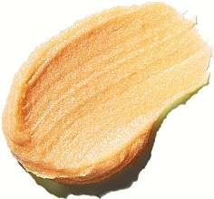 Odżywczy balsam do ust - Evolve Organic Beauty Lip Shine True Gold — Zdjęcie N2