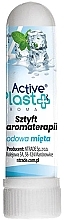 Sztyft do aromaterapii Lodowa mięta - Ntrade Active Plast  — Zdjęcie N1
