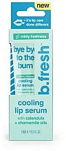Kup Serum do ust - B.fresh Bye Bye To The Burn Lip Serum