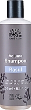 Kup PRZECENA! Organiczny szampon dodający włosom objętości Glinka rhassoul - Urtekram Rasul Volume Shampoo *