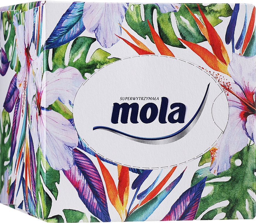 Trójwarstwowe chusteczki higieniczne w pudełku - Mola Tissue — Zdjęcie N1